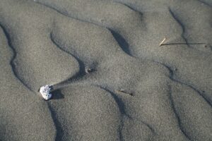 Spiaggia di velluto nelle Marche con sabbia fine e dorata, simile a farina, sotto un cielo azzurro.