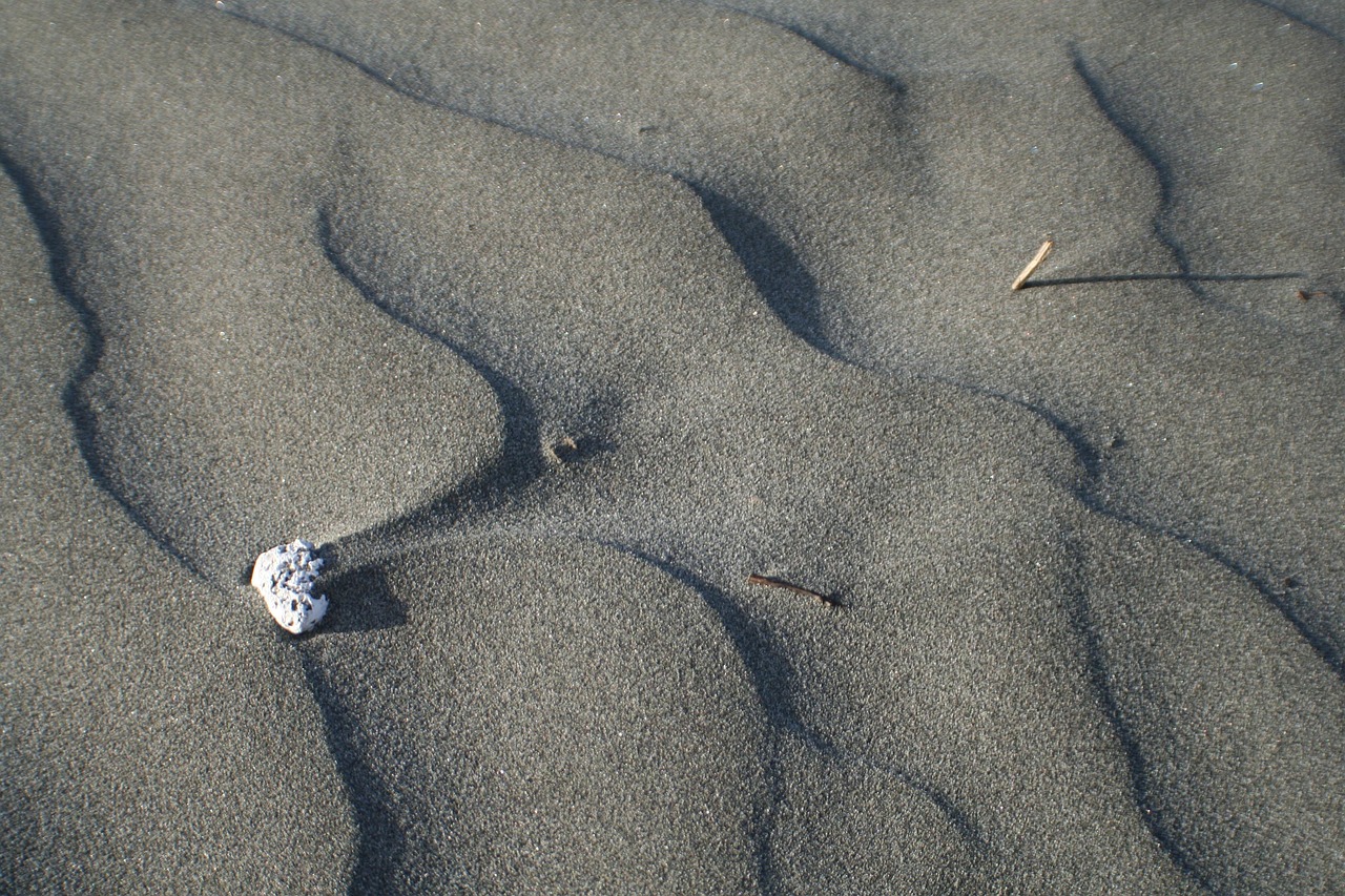 Spiaggia di velluto nelle Marche con sabbia fine e dorata, simile a farina, sotto un cielo azzurro.