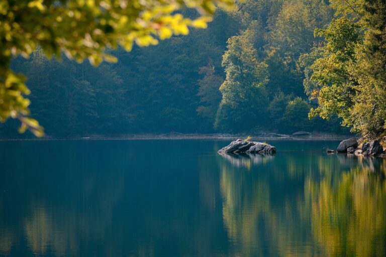 Lago di Tovel con acque trasparenti, circondato da alberi e montagne, simbolo della leggenda del colore rosso.