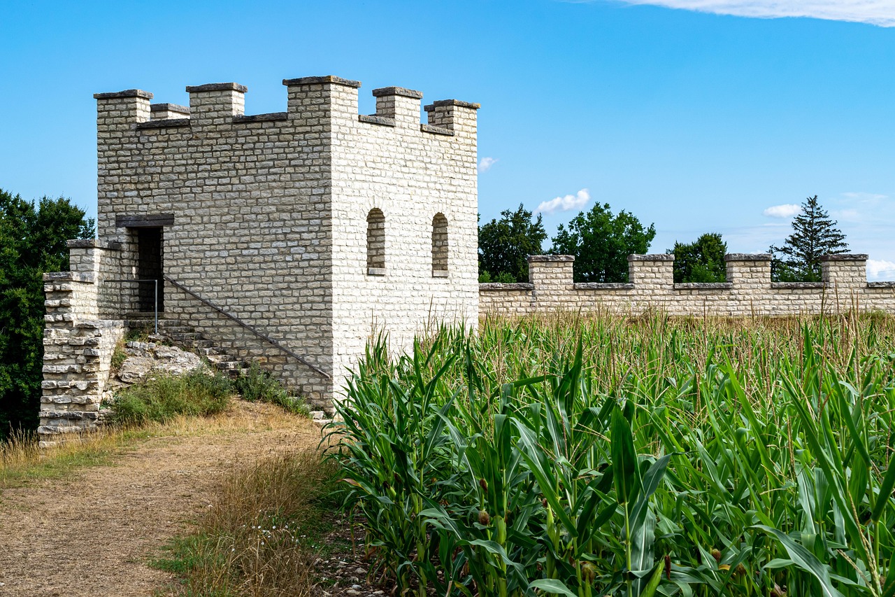 Labirinto gigante vicino a Parma, vista aerea con sentieri intrecciati e vegetazione verde.