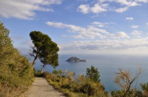 Spiaggia selvaggia sull'Isola d'Elba, con acque cristalline e natura incontaminata.