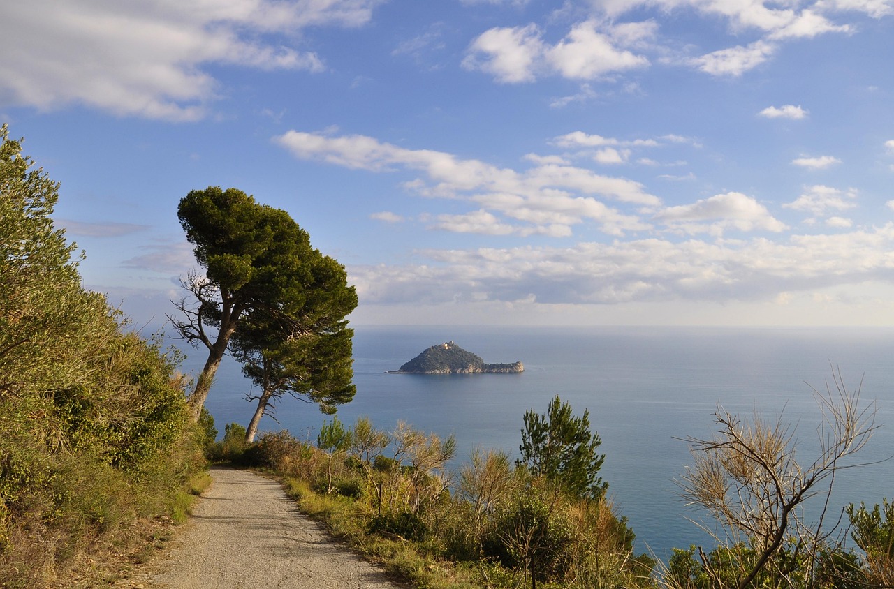 Spiaggia selvaggia sull'Isola d'Elba, con acque cristalline e natura incontaminata.